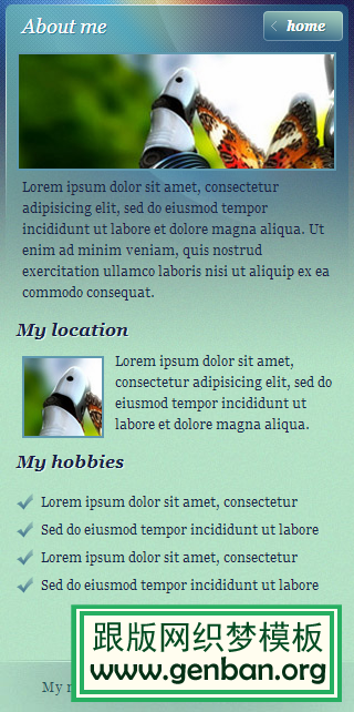 内容页演示图片