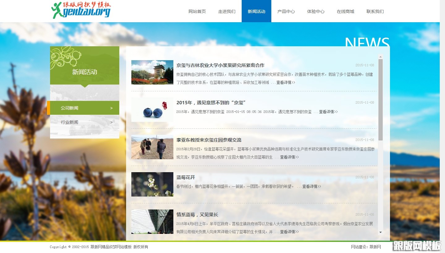 其他页演示图片