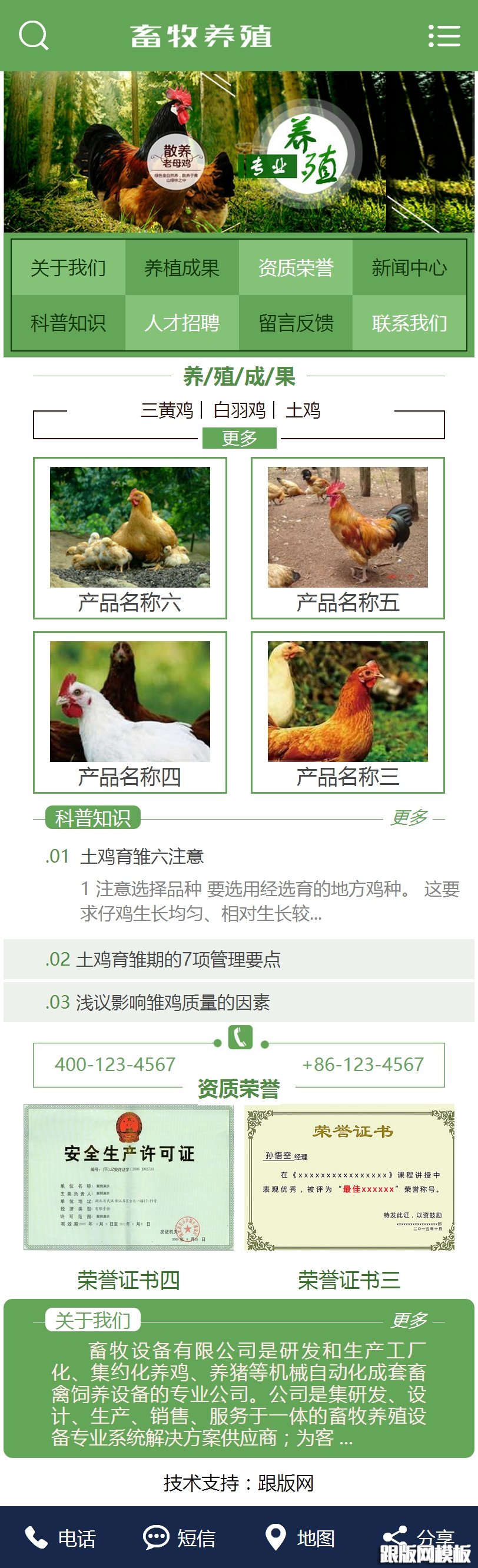 其他页演示图片