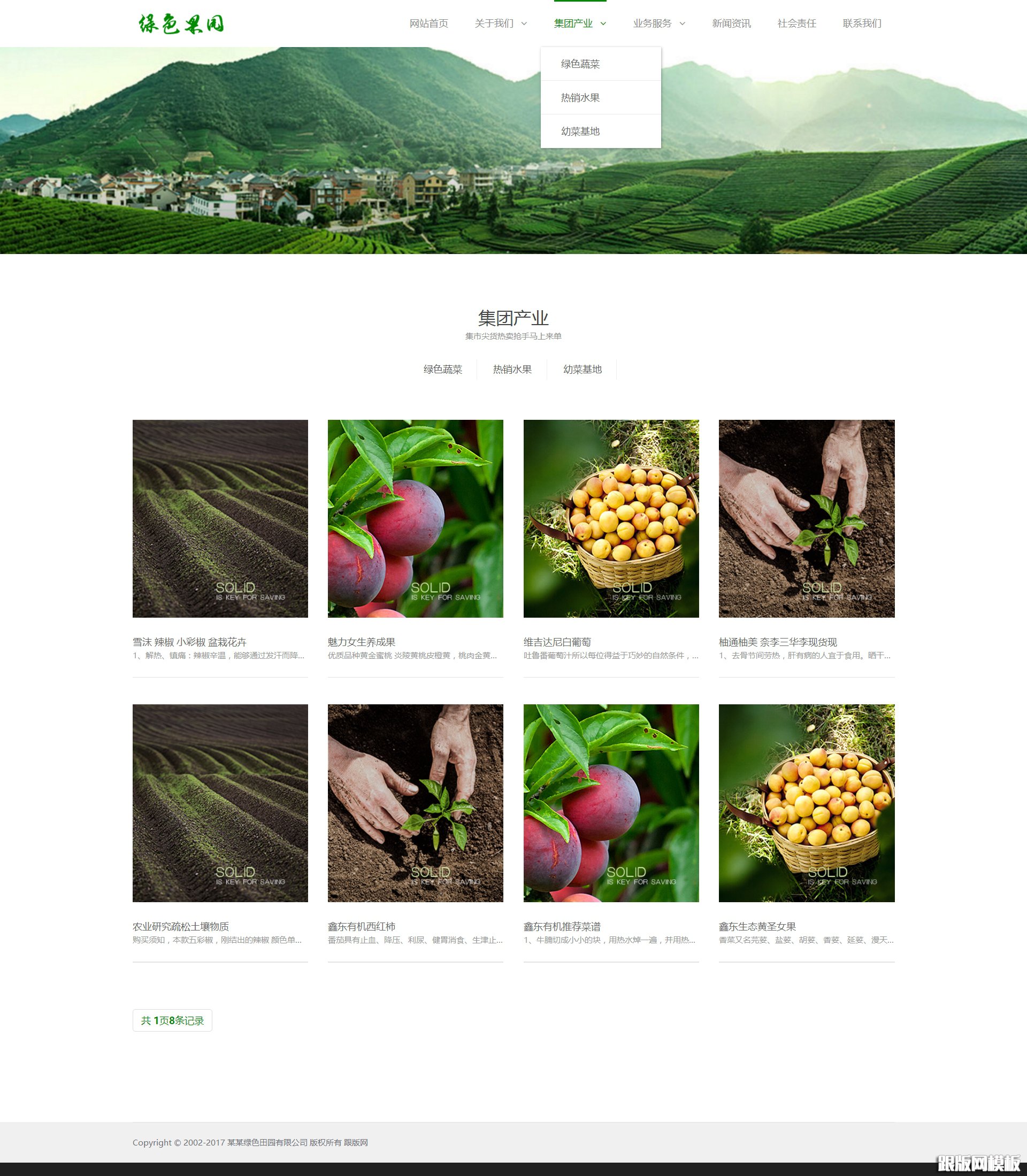 其他页演示图片