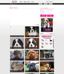 赛级进口狗狗网站模版 赛级进口狗狗网站模版
