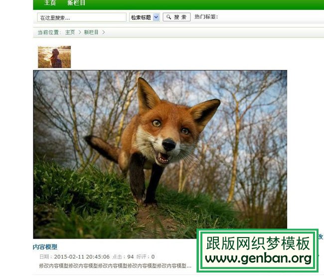 织梦教程:编辑页面添加变量(织梦内容模型自定义字段)