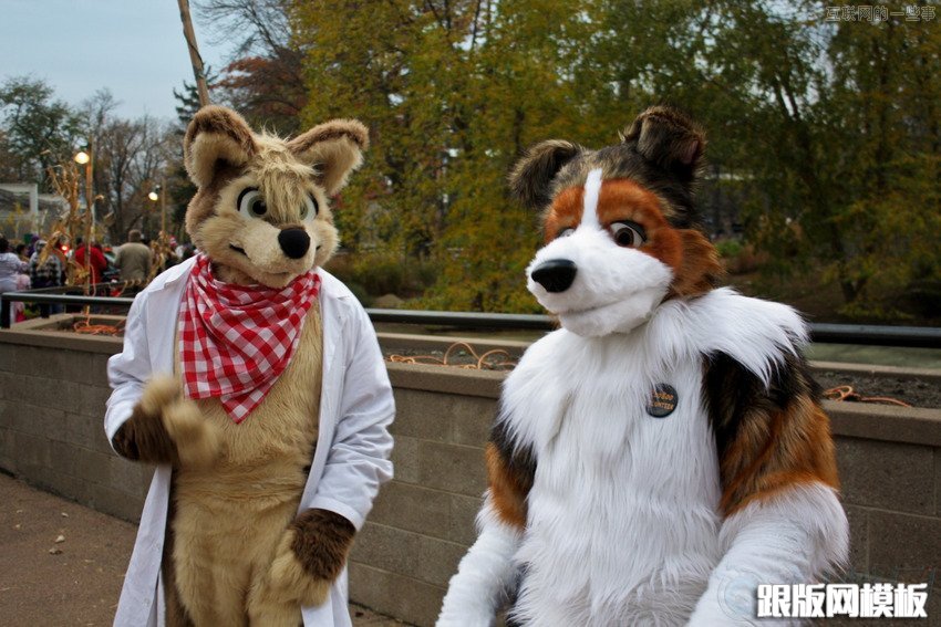 妈妈再也不担心了!国外7个超搞的约会网站,互联网的一些事