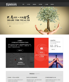 黑色大气金融投资企业网站织梦模板