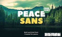 2016年适合平面设计需要的10个华丽字体展示及下载