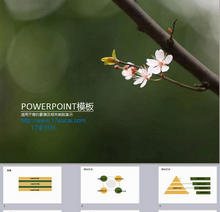 孤傲梅花封面产品介绍通用PPT模板下载