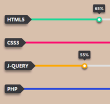 css3˼ܽʽ