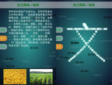 html5 canvasƴӶЧ