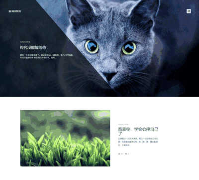 HTML5清新文艺个人博客文章类织梦模板(支持移动设备)