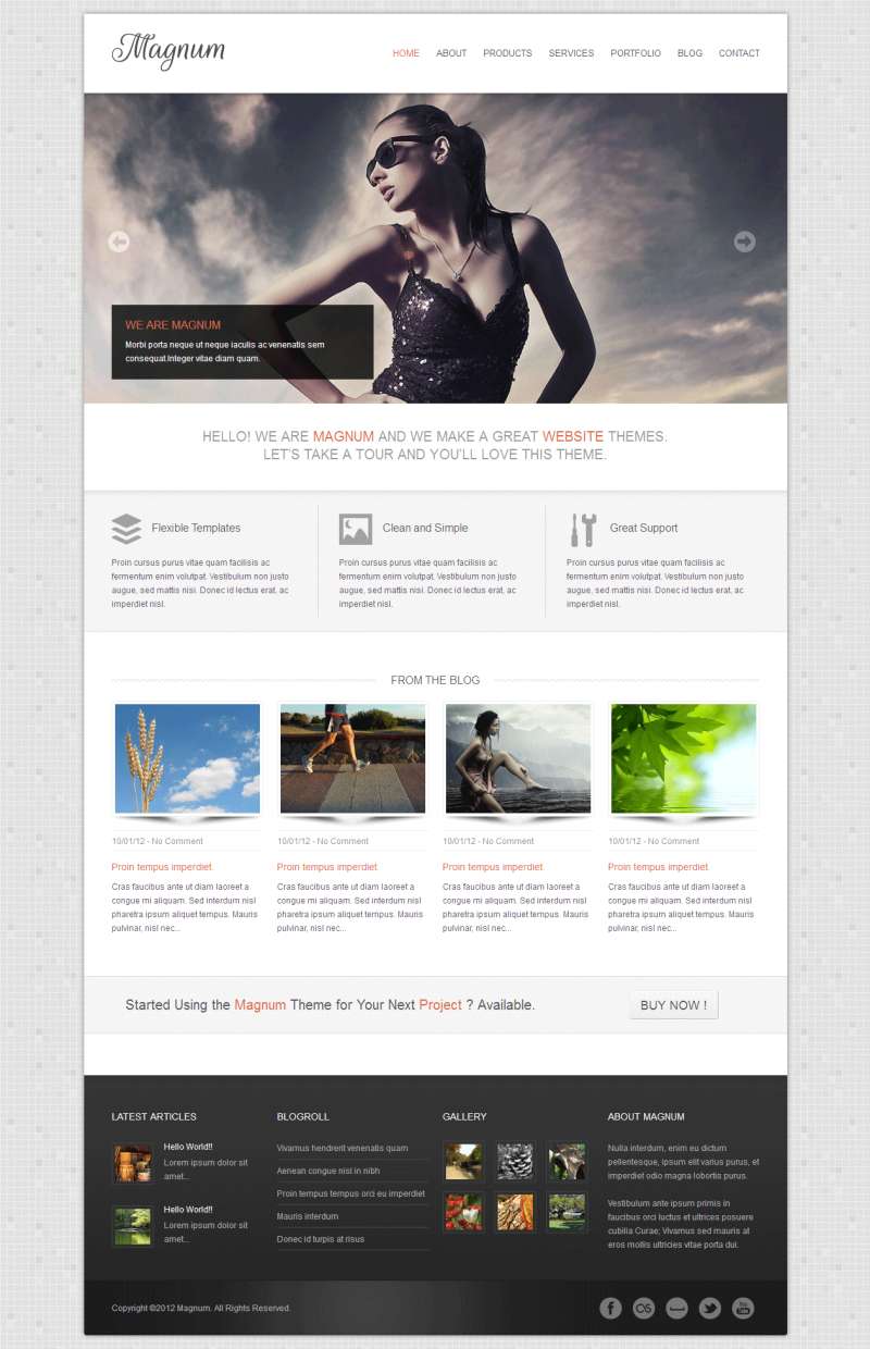 css3+html5Ӧʽվģ