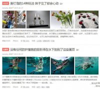 dedecms织梦artlist和list标签调用图集图片实现方法