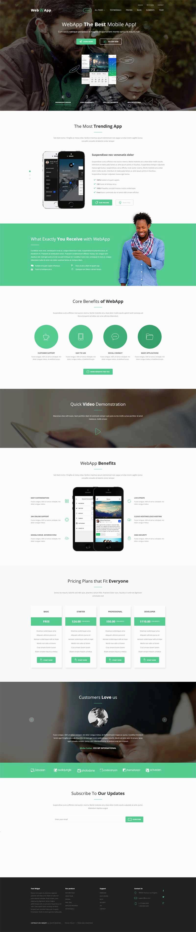 webApp手机软件官网动画模板