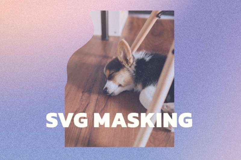 SVG껬ʾڱͼ