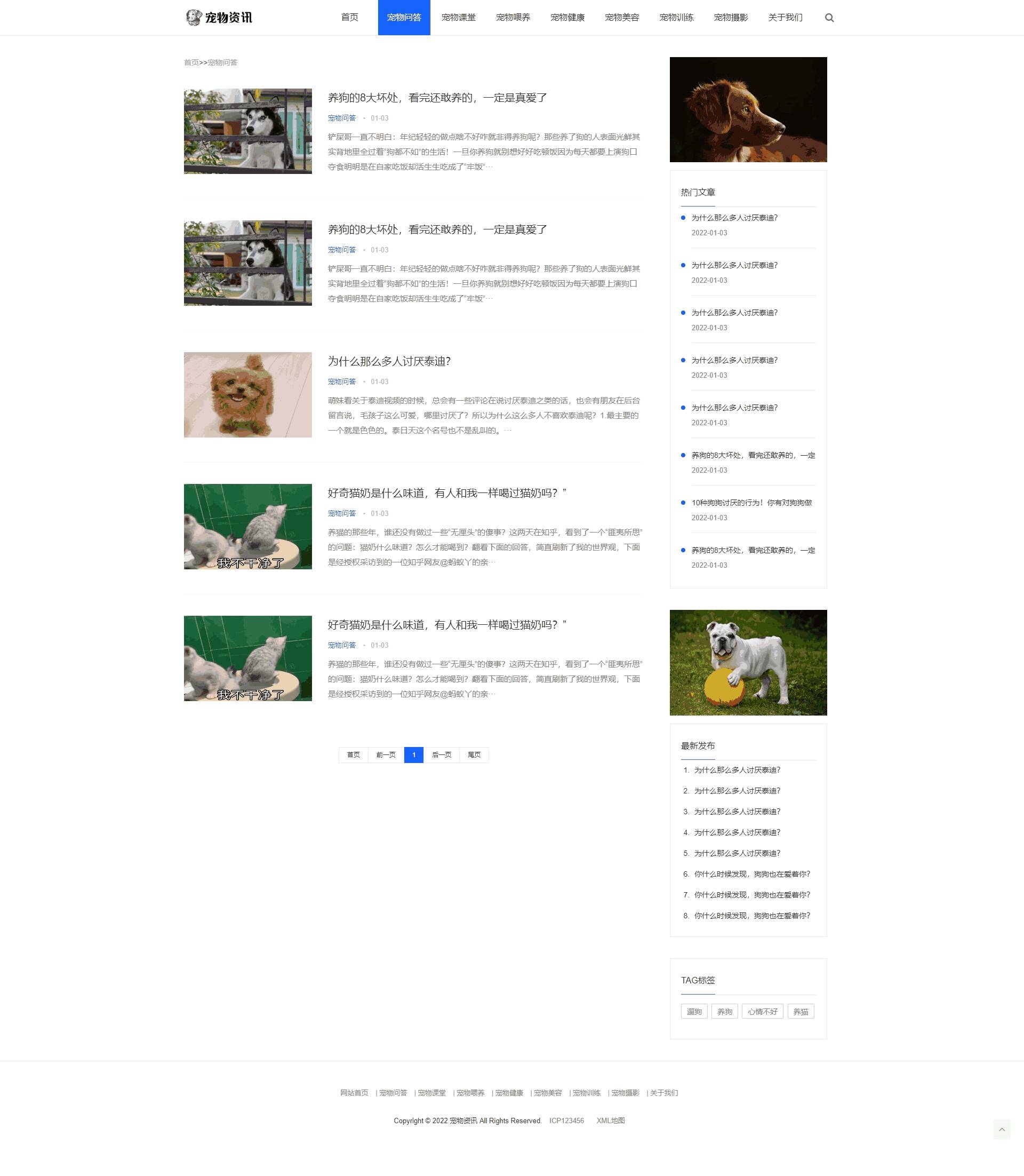 宠物问答