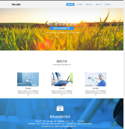 响应式医疗服务机构pbootcms网站源码