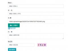 PbootCMS通过layui实现留言文件上传功能 PbootCMS通过layui实现留言文件上传功能