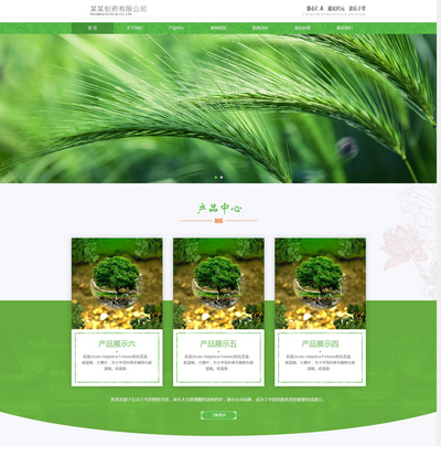 HTML5Ӧʽҽҩֲҵp