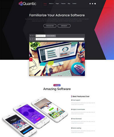 软件开发设计it服务公司html静态网站模板