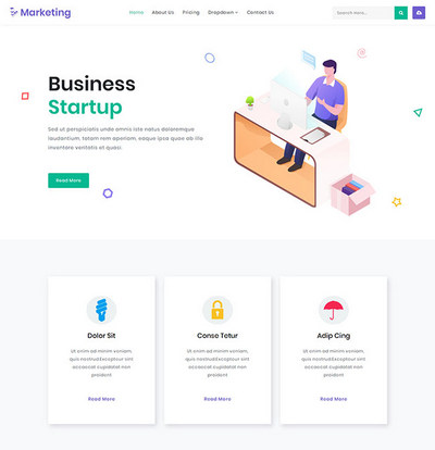 简洁软件开发服务公司html模板