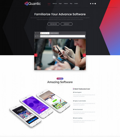 创意软件开发设计服务公司静态网站模板