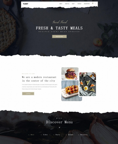 ʳ˾html5վģ
