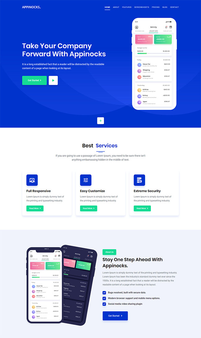 实用手机app应用程序开发宣传公司模板