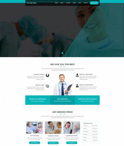 ҽƷƹhtml5ҳģ