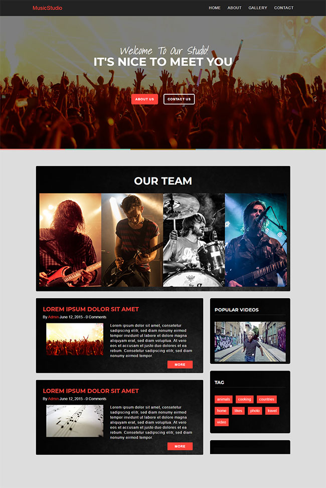 响应式演唱会音乐演出专题页网站模板