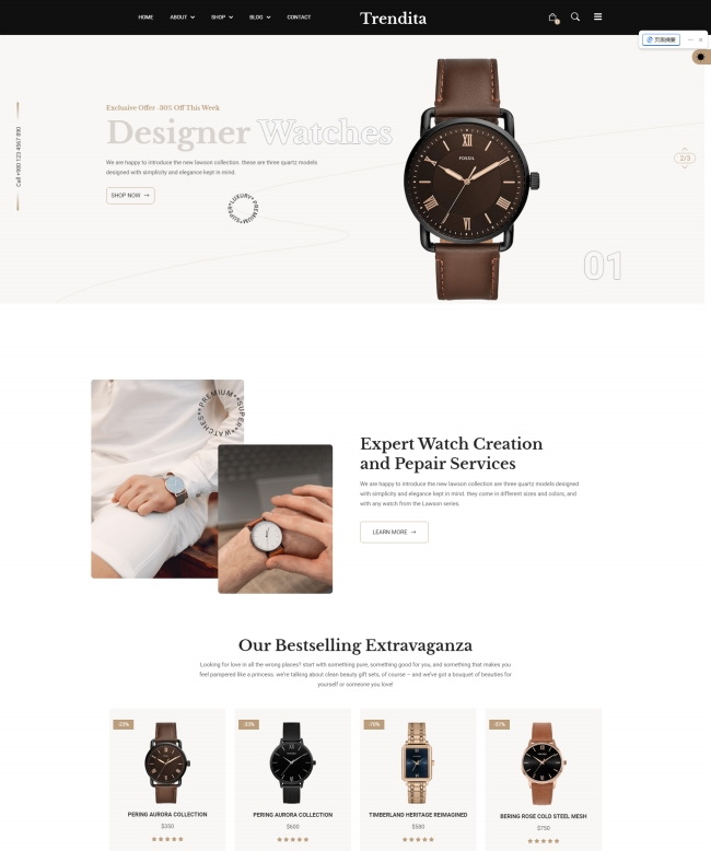 大气腕表手表定制服务公司html网站模板