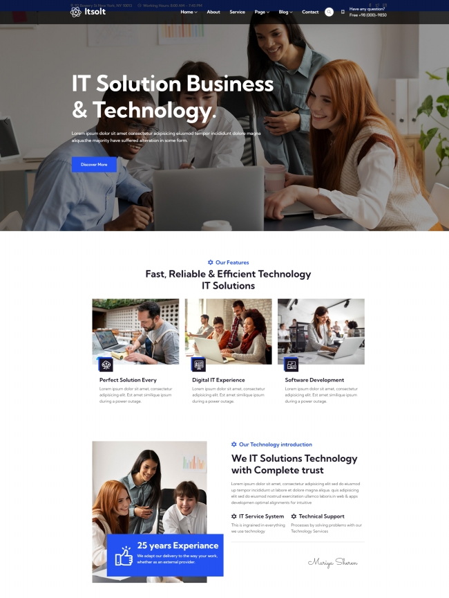 IT专业服务解决方案公司宣传页模板