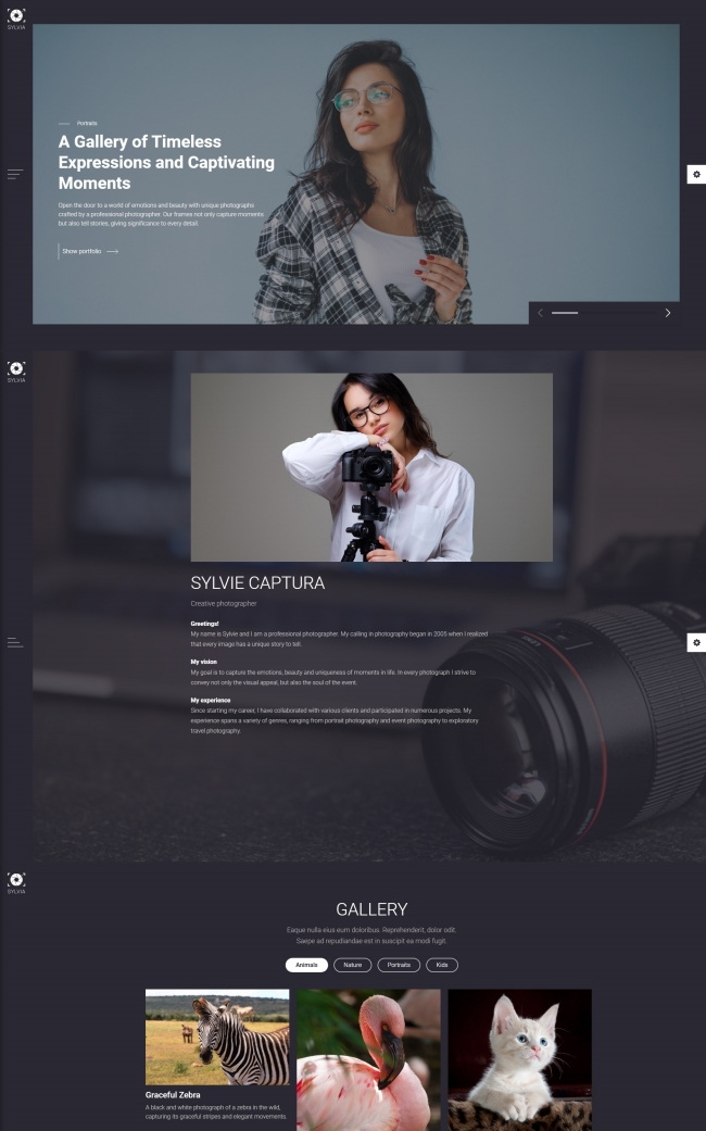 创意摄影作品展示宣传网页模板