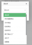 layui实现弹窗下拉搜索选择框功能 layui实现弹窗下拉搜索选择框功能