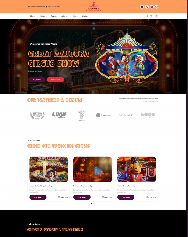 儿童游乐园马戏表演演出宣传网站模板