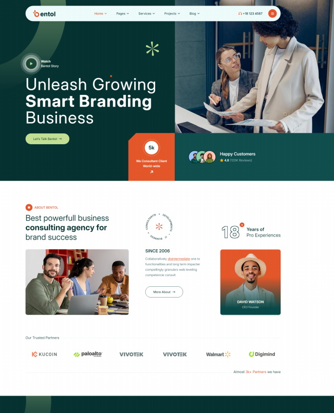 商业咨询服务公司宣传页网站模板