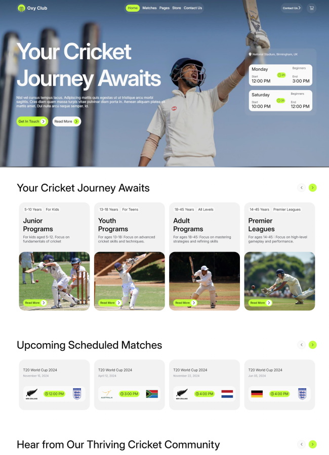 棒球运动宣传推广响应式建站模板